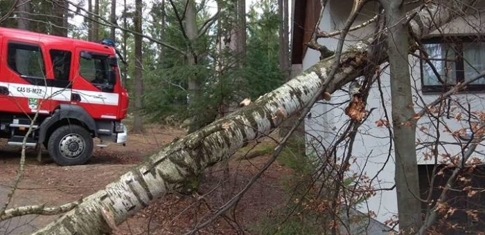 Technická pomoc – spadlé stromy